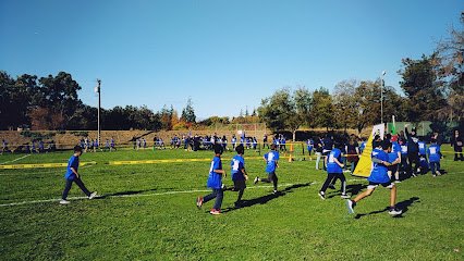 Soccer Field image 1