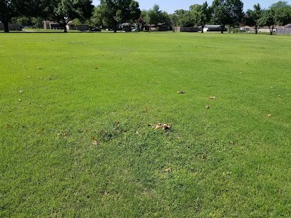 Soccer Field image 1