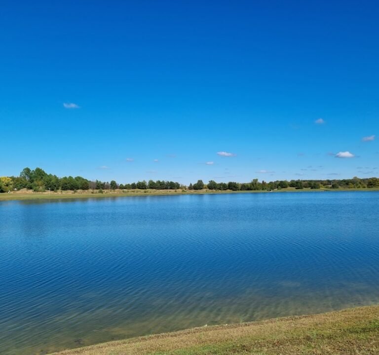 Soccer Field image 2