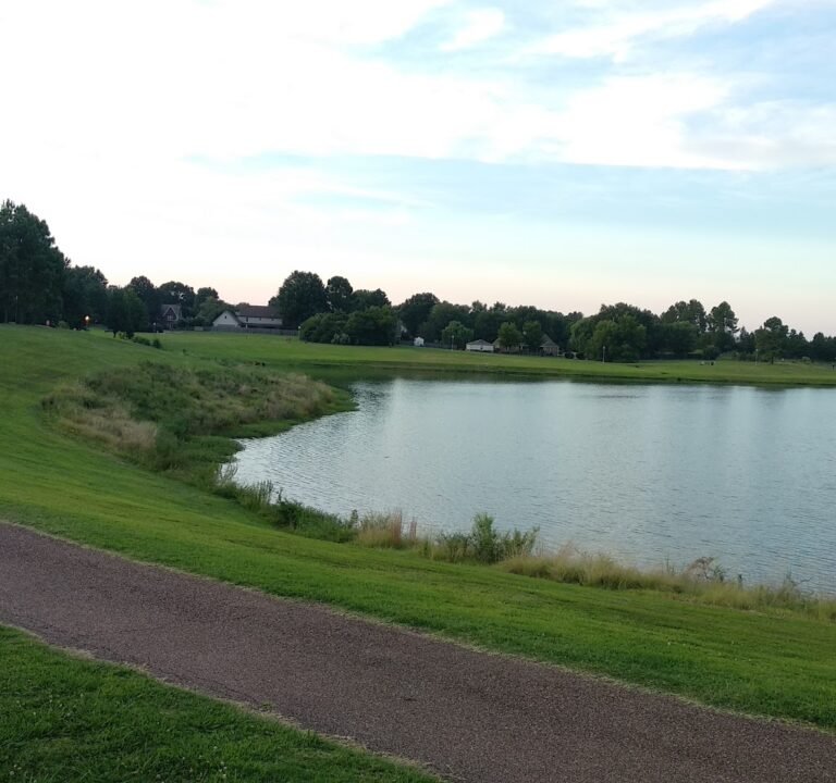 Soccer Field image 3