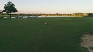 Soccer Field image 1