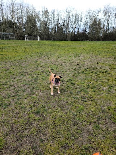 Soccer Field image 1