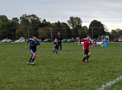 Soccer Field image 1