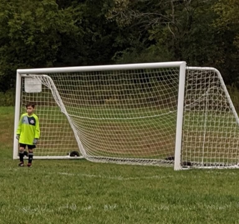 Soccer Field image 3