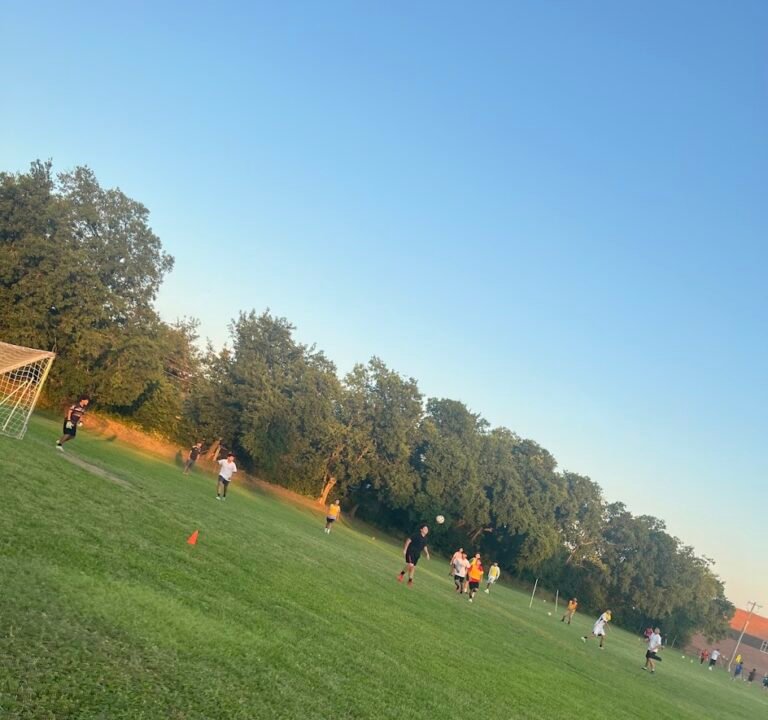 Soccer Field image 3