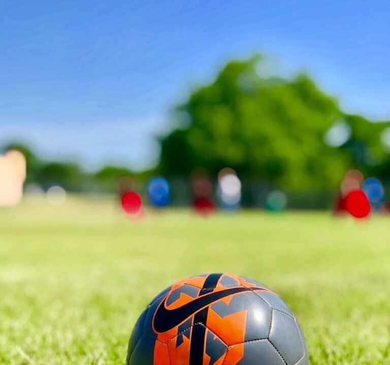 Soccer Field image 2