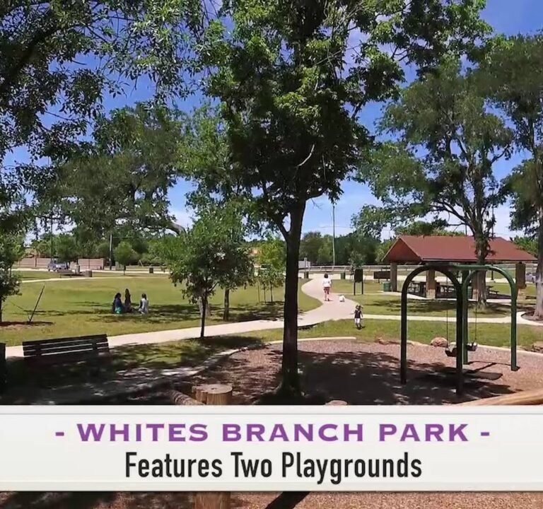 Soccer Field image 3