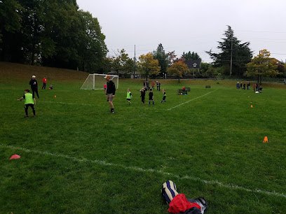 Soccer Field image 1