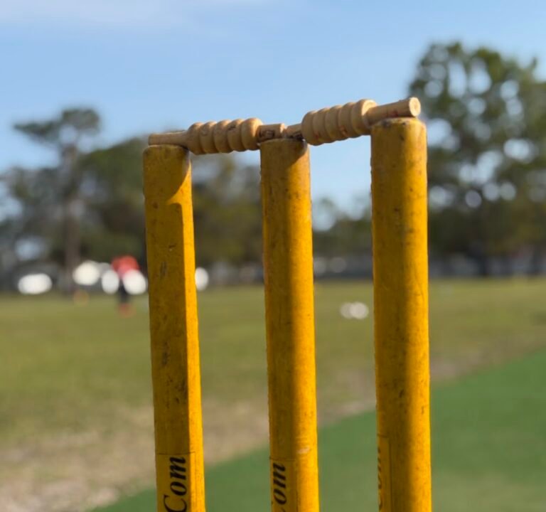 Soccer Field image 3