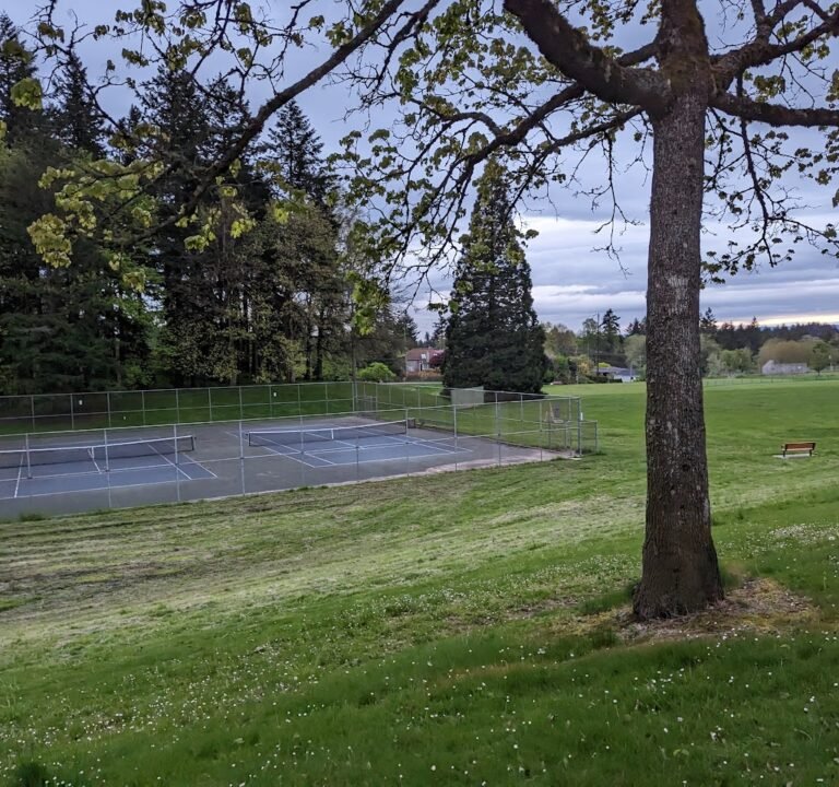 Soccer Field image 2