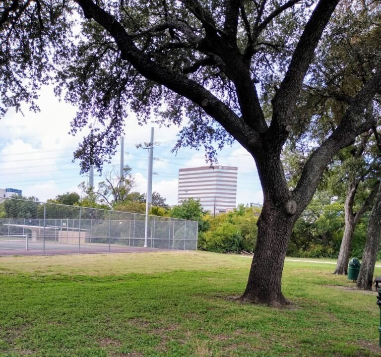 Soccer Field image 2