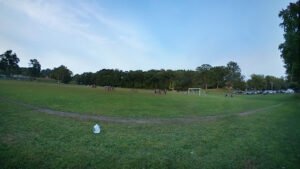 Soccer Field image 1