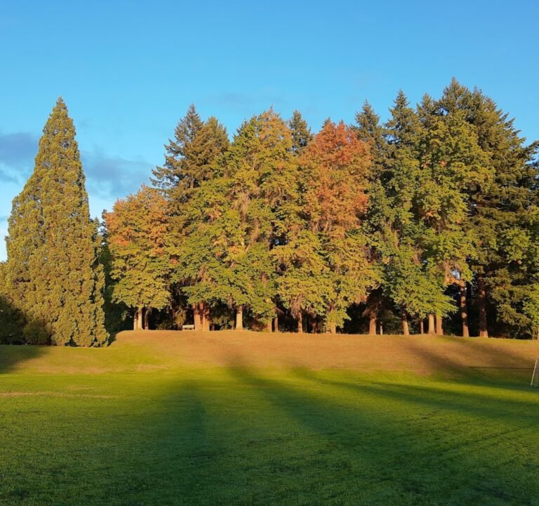 Soccer Field image 3