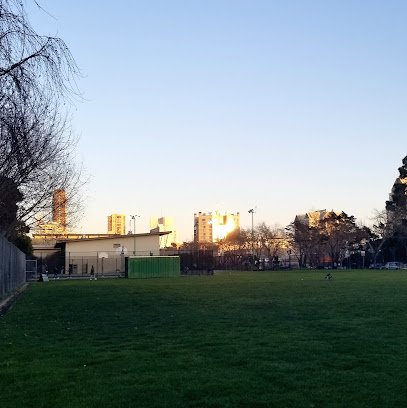Soccer Field image 1