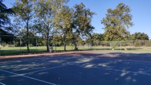 Soccer Field image 1