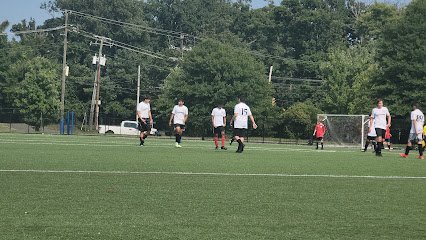 Soccer Field image 1