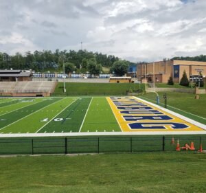 Soccer Field image 2