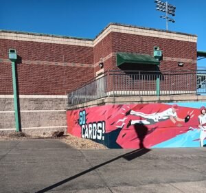 Soccer Field image 3