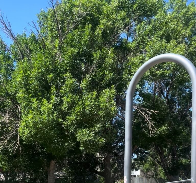 Soccer Field image 4