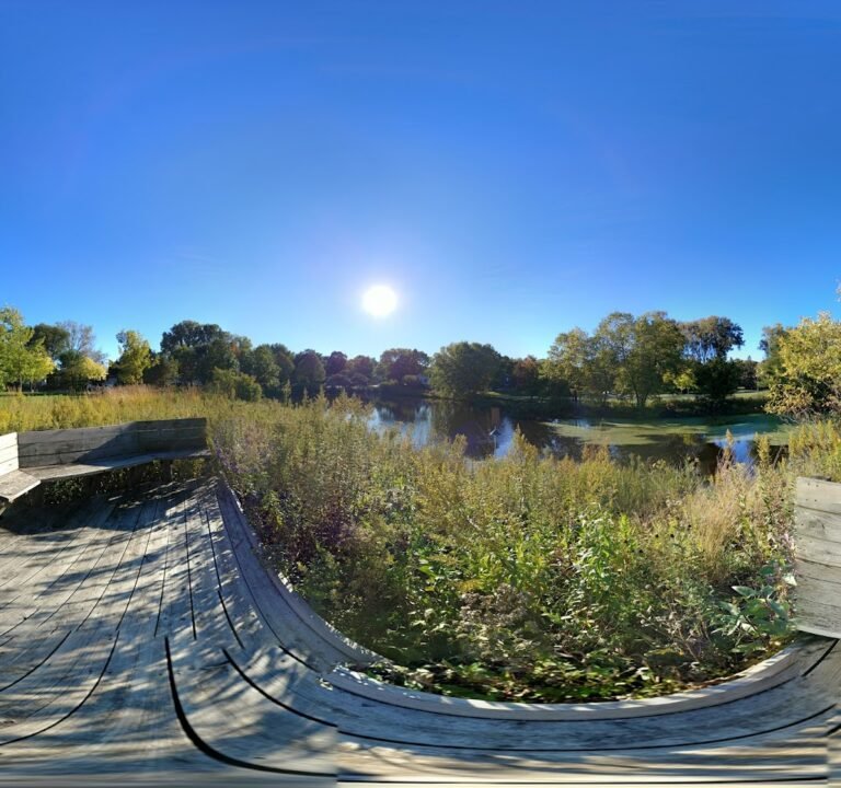 Soccer Field image 3