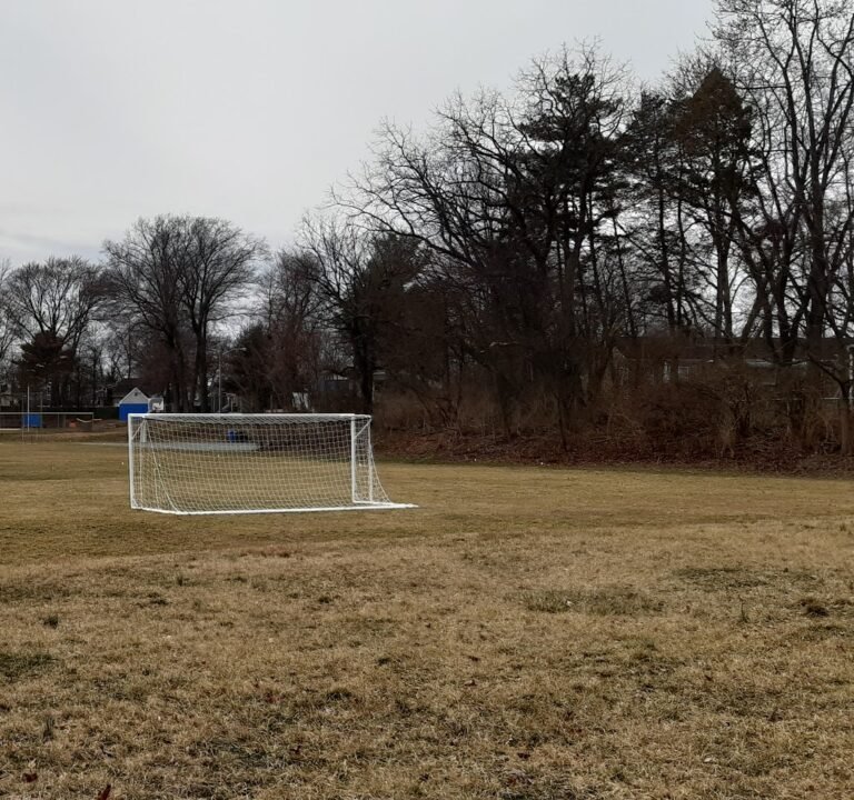 Soccer Field image 3