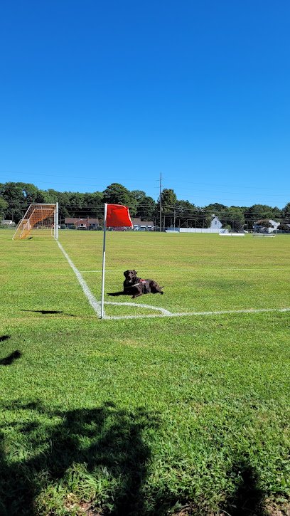 Soccer Field image 1