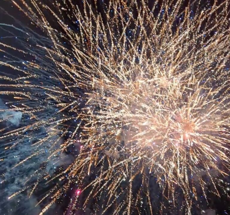 Soccer Field image 2