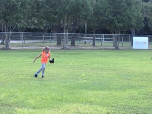 Soccer Field image 1