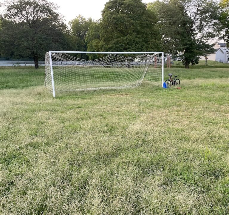 Soccer Field image 3
