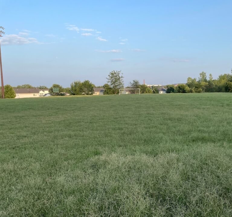 Soccer Field image 2
