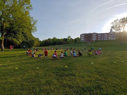 Soccer Field image 1