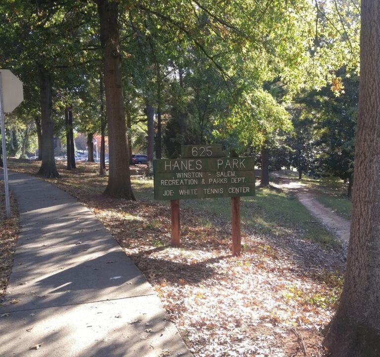 Soccer Field image 2