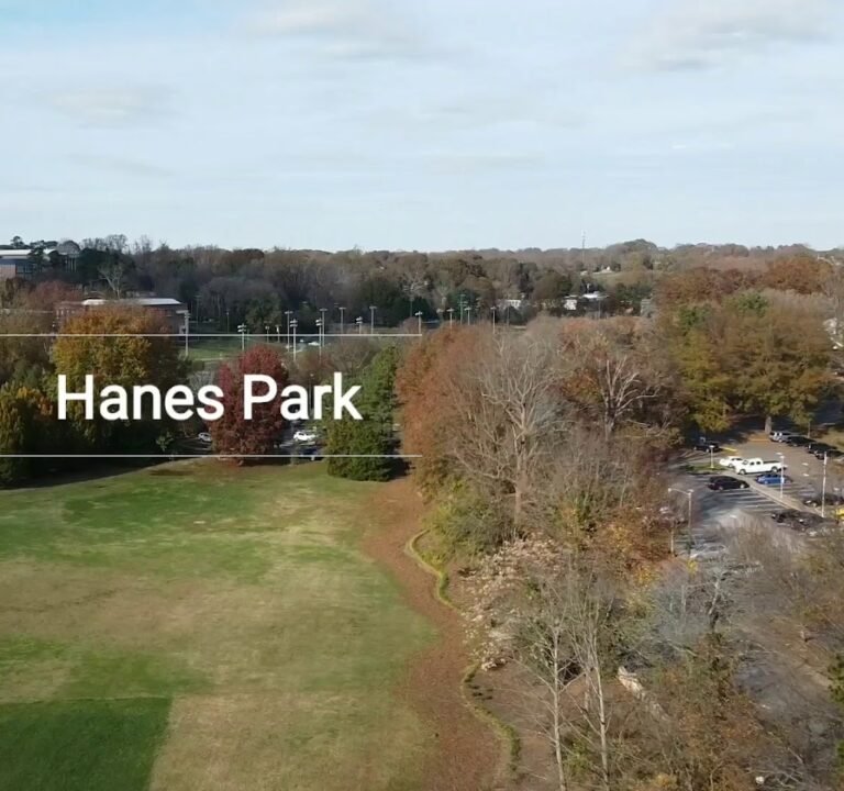 Soccer Field image 3