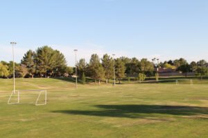 Soccer Field image 1