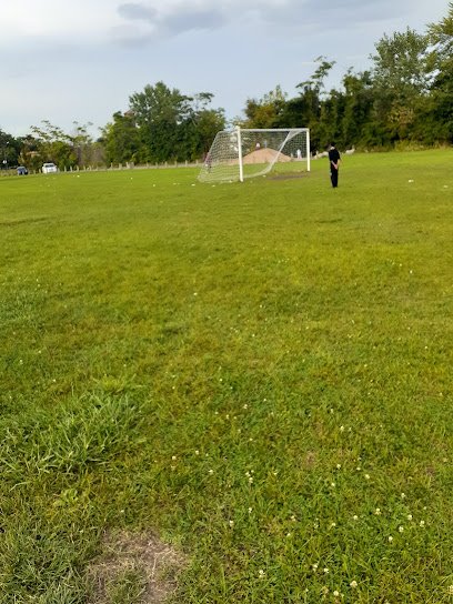 Soccer Field image 1