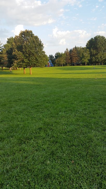 Soccer Field image 1