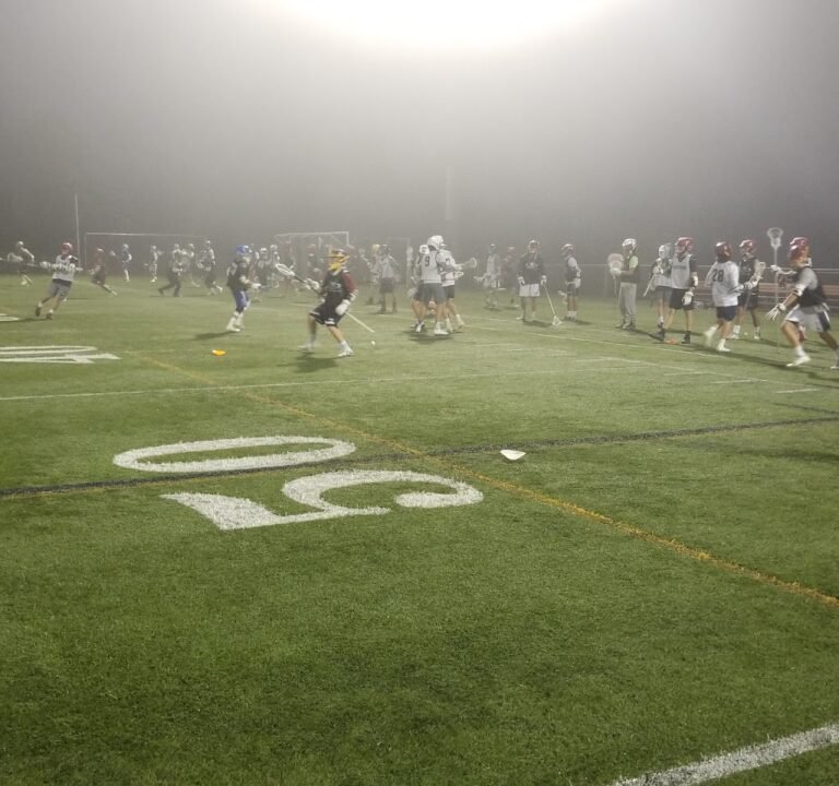 Soccer Field image 2