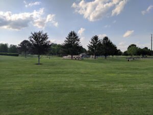 Soccer Field image 1
