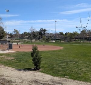Soccer Field image 3