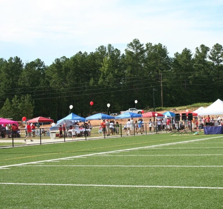 Soccer Field image 2