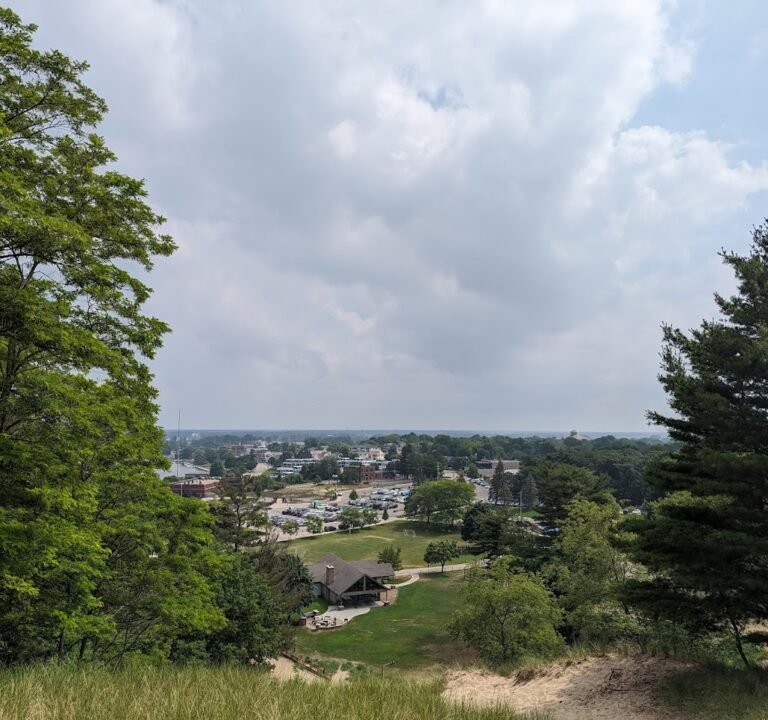 Soccer Field image 2
