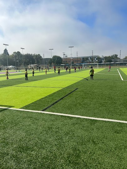 Soccer Field image 1