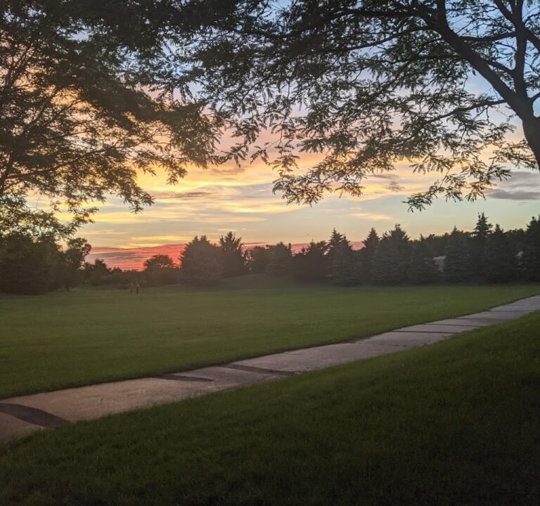 Soccer Field image 3