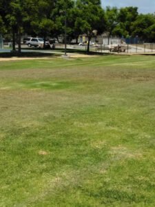 Soccer Field image 1