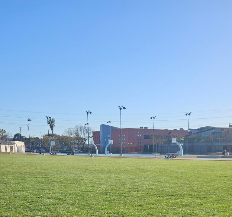 Soccer Field image 3