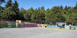 Soccer Field image 1