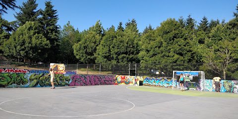 Soccer Field image 1