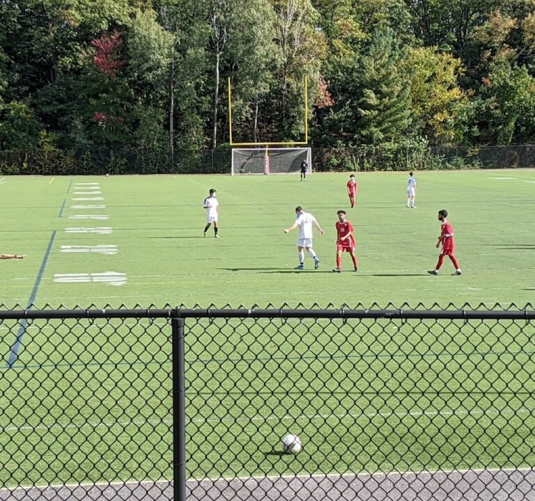 Soccer Field image 2