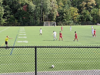 Soccer Field image 1