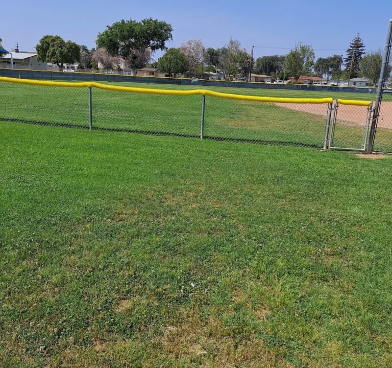 Soccer Field image 2